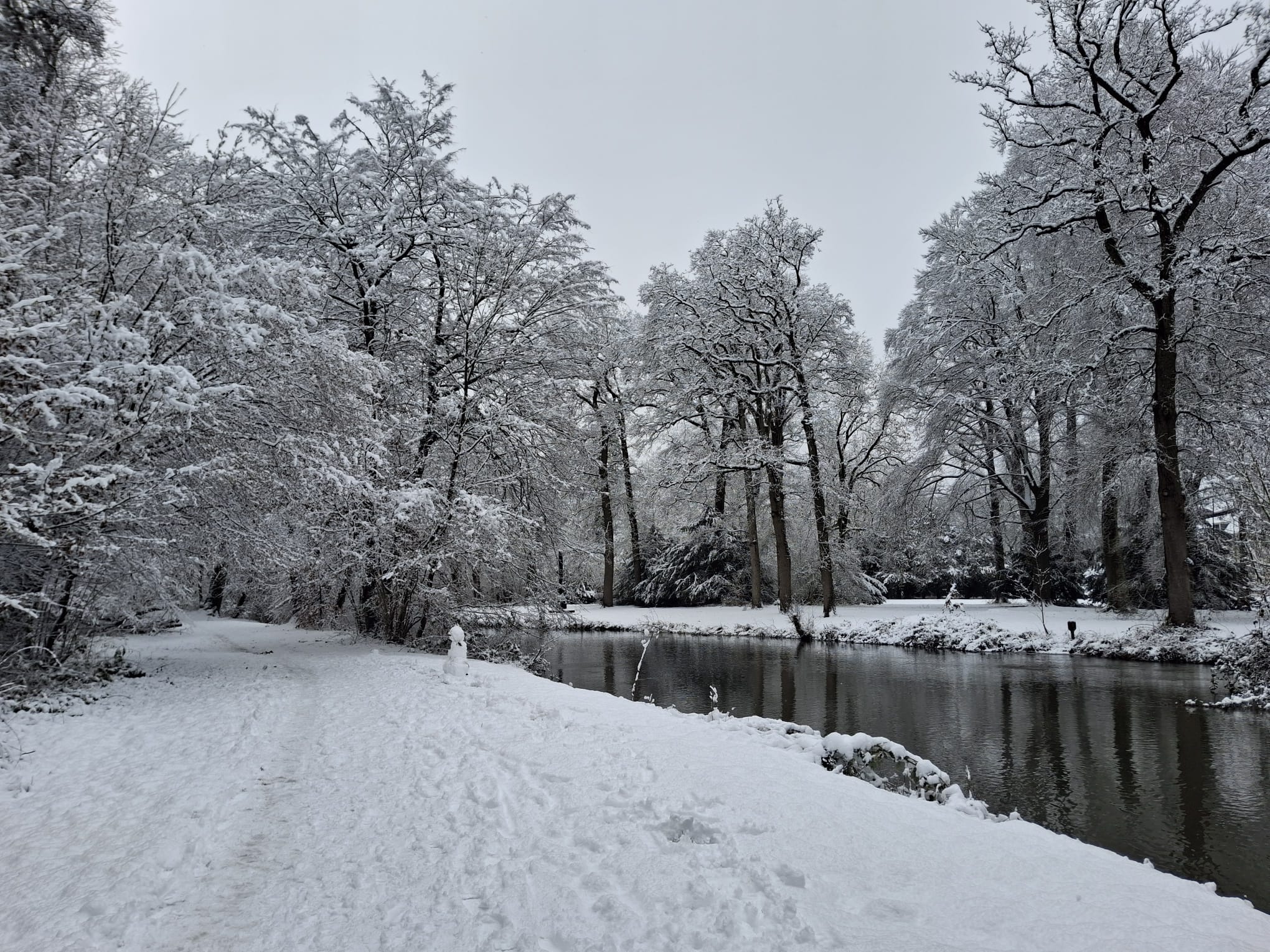 UNESCO-erkenning boomklimmers Amelisweerd