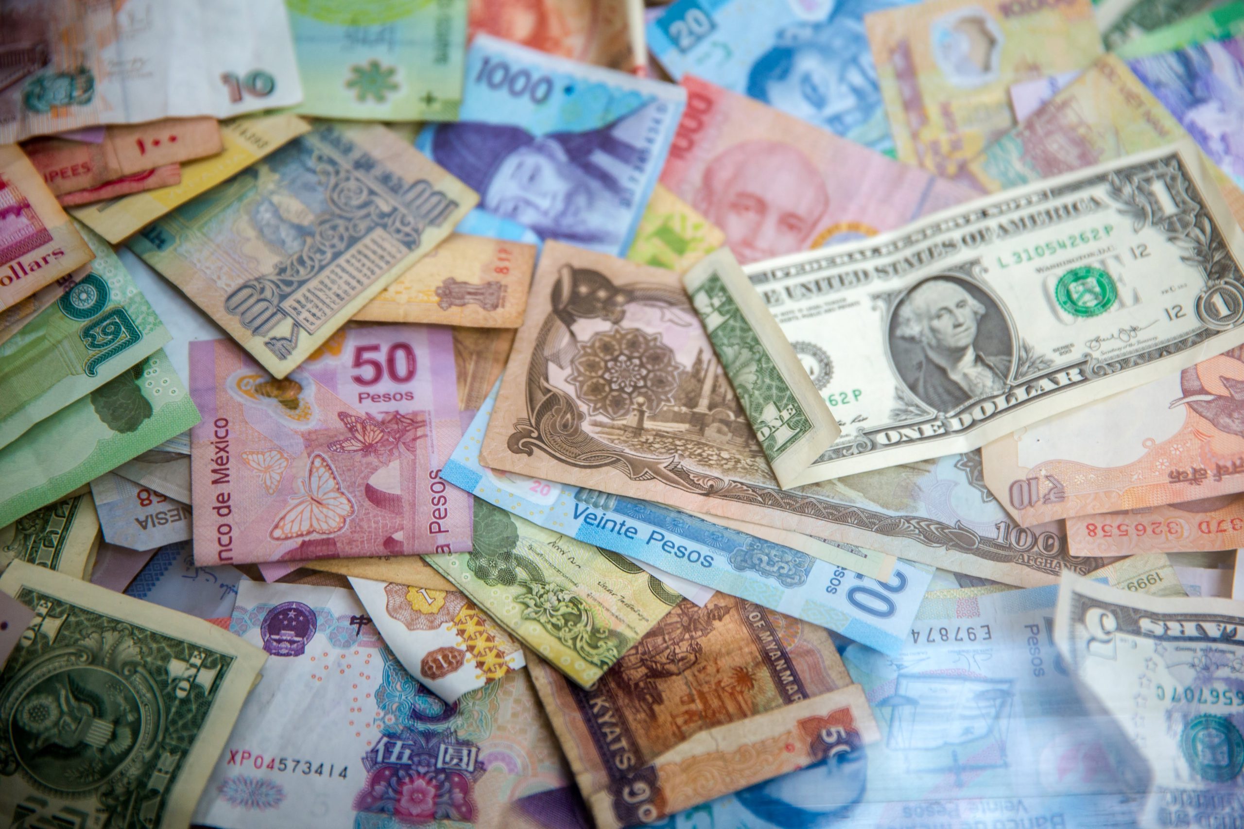 Portefeuillehouder Economie, Financiën en Sociale Zaken gezocht!